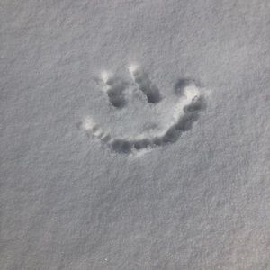 Meet your Posher, Joshua